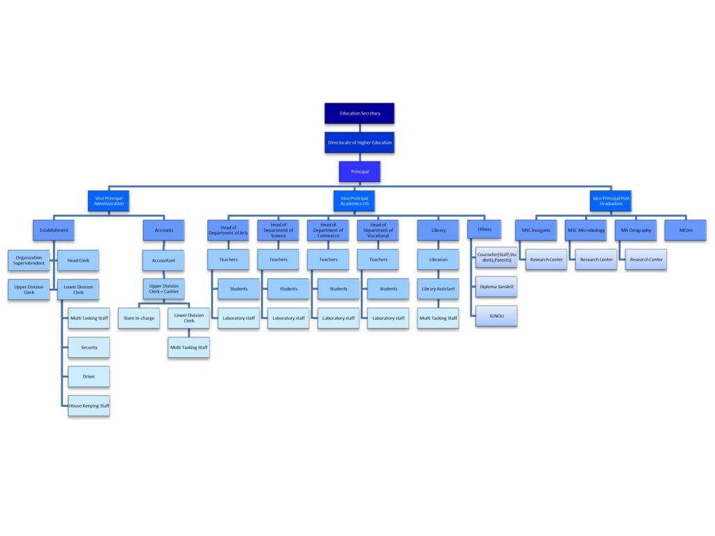 Organisational Structure